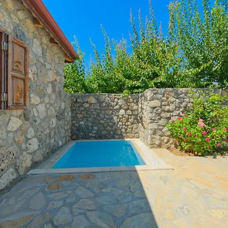 Havuzu Korunakli Jakuzili Villa *