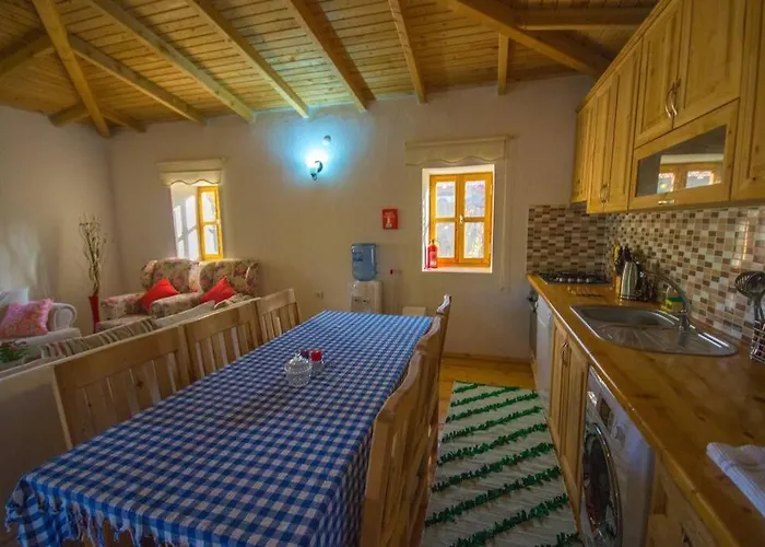 Havuzu Korunakli Jakuzili Vilă